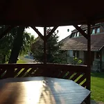 Ibolya Vendeghaz * Kehidakustany