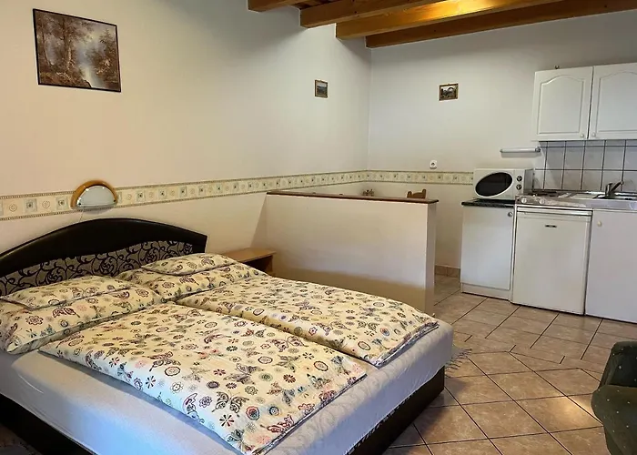 Ibolya Vendeghaz Lejlighed Kehidakustány